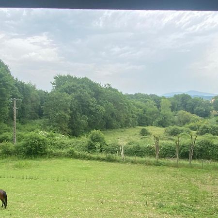 Appartement Dans Belle Maison Basque Mouguerre Εξωτερικό φωτογραφία