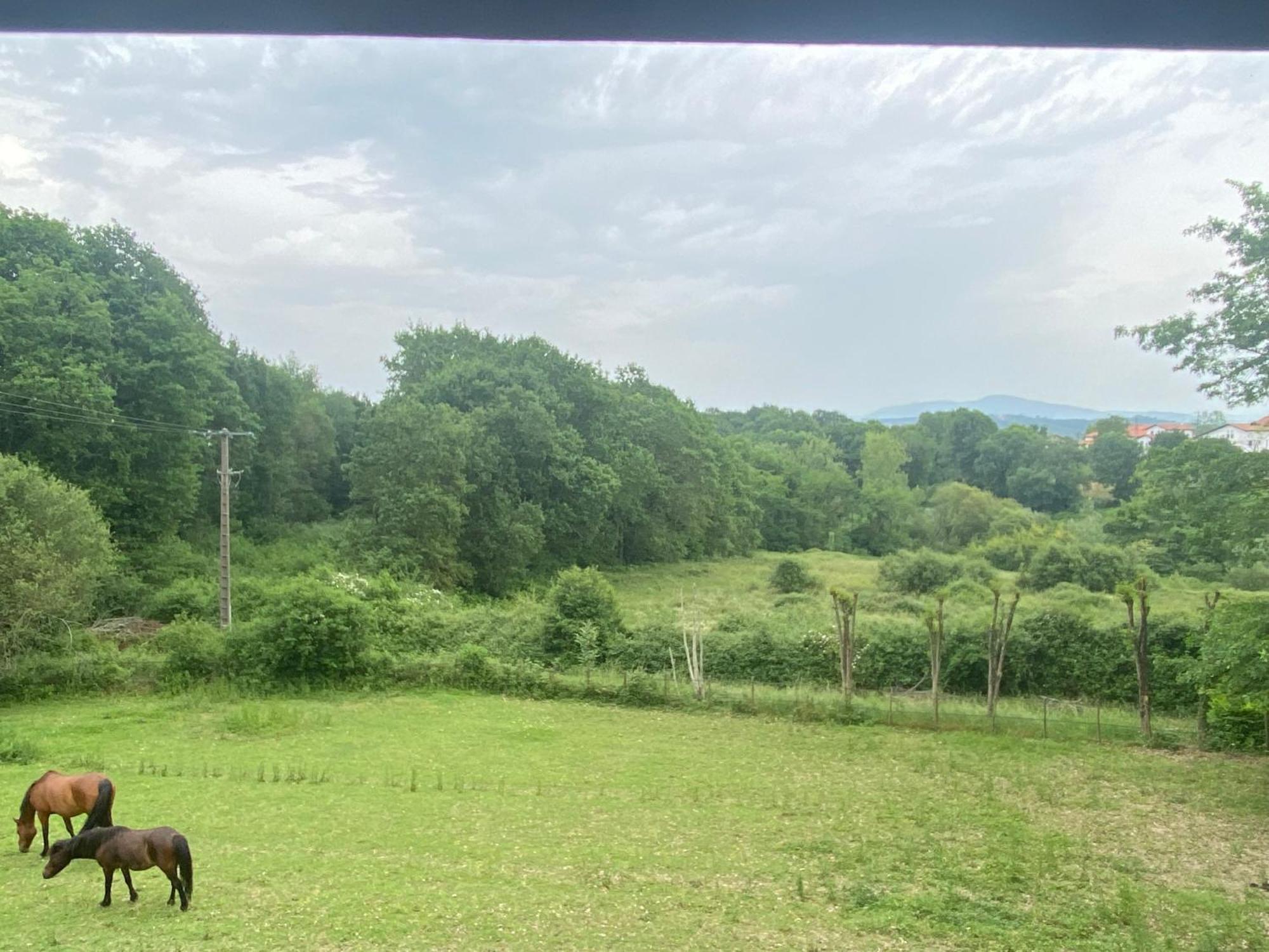 Appartement Dans Belle Maison Basque Mouguerre Εξωτερικό φωτογραφία